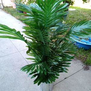 30 Inch Artificial Palm Plant